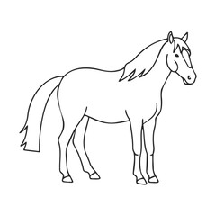 Fototapeta premium Black and white line drawing of a horse illustration