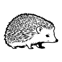 Cute Hedgehog Animal Wildlife Vector Illustration