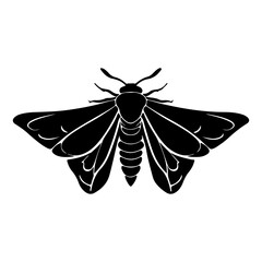 Stylized Bee or Wasp Insect Top View Vector Illustration