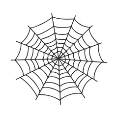 Intricate symmetrical spider web on white background