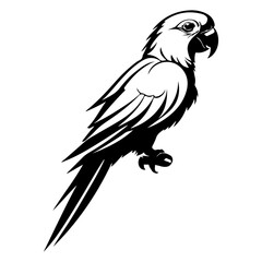 Stylized Parrot Macaw Tropical Bird Vector Illustration