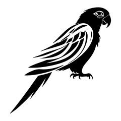 Stylized Parrot Macaw Tropical Bird Vector Illustration