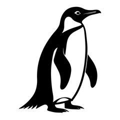 Obraz premium Cute Penguin Bird Animal Vector Illustration