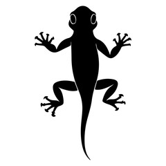 Gecko Lizard Reptile Top View Silhouette Vector