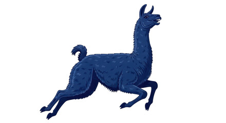 Obraz premium Isolated Llama