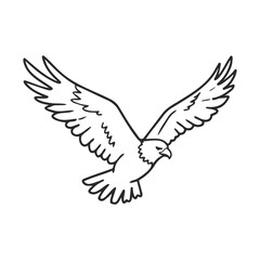 Obraz premium Line art illustration of flying bald eagle with outstretched wings