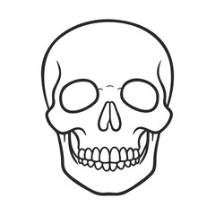 Fototapeta premium Simple black and white human skull line art illustration