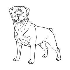 Fototapeta premium Outline illustration of a standing dog with happy expression on white background