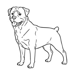 Fototapeta premium Outline sketch of a happy rottweiler standing and smiling