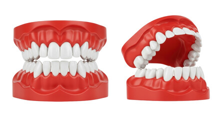 Isolated Dentures