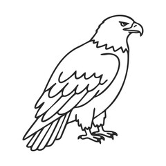 Fototapeta premium Bold eagle outline drawing - majestic bird of prey illustration