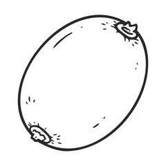 Black and white illustration of a whole coconut with detailed outer shell