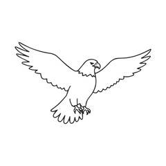 Fototapeta premium Line art of a flying eagle with outstretched wings