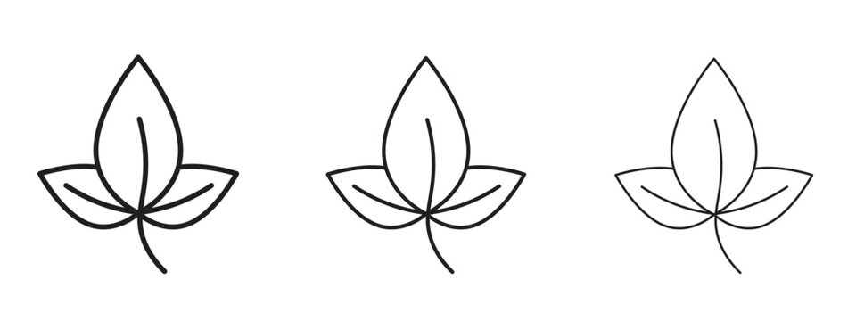 Basil icon. black strokes lines vector pack for graphic work