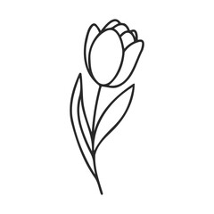 Simple black and white tulip line art drawing with leaf details