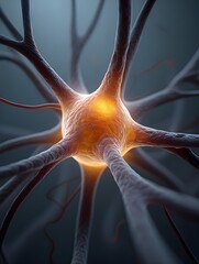 Detailed 3D Rendering of a Nerve Neuron Cell with Dendrites and Axon