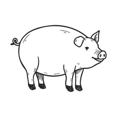 Fototapeta premium Hand-drawn pig illustration with swirl tail and happy expression