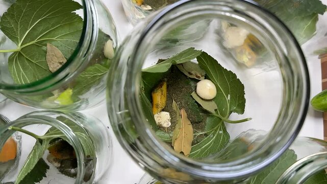 Glass jars filled with fresh herbs, bay leaves, and garlic cloves evoke themes of canning, culinary arts, and sustainable living