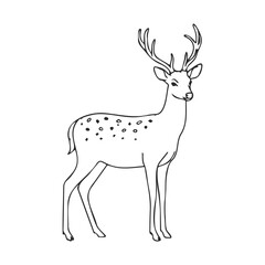 Fototapeta premium Simple black and white deer line art with antlers and spotted back