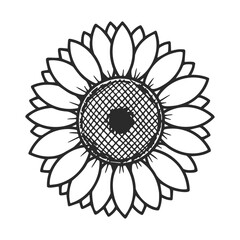 Intricate black and white sunflower design with detailed petals
