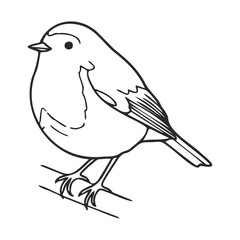 Fototapeta premium Black and white bird drawing of a standing robin on branch