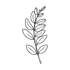 Obraz premium Outline of simple leafy branch with multiple leaves