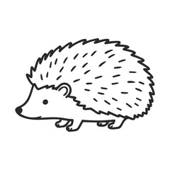 Cute hand-drawn hedgehog illustration on white background
