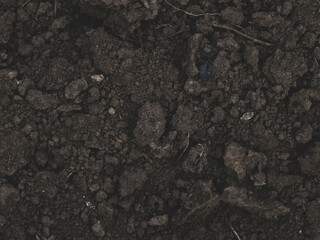 Dark, Rich and Fertile Earth Texture with Visible Soil Clumps