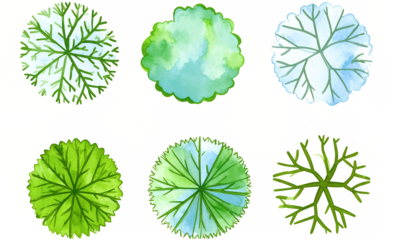 Set of Watercolor Trees