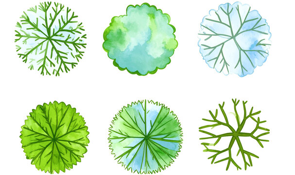 Set of Watercolor Trees