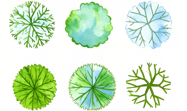 Set of Watercolor Trees