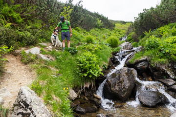 Obraz premium trekking with dog in Rodnei national park Romania