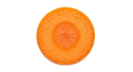 Isolated Carrot Slice
