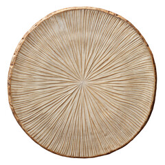 Wooden texture pattern on a circular slice of tree with organic concentric lines design detail