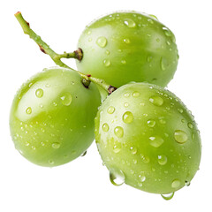Fresh green grapes with dewdrops on isolated background for healthy eating and juicy snacks