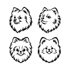 pomeranian head vector silhouette dog breed