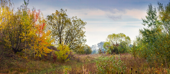 Panorama of autumn forest and field with vibrant trees under a cloudy sky, creating a picturesque...