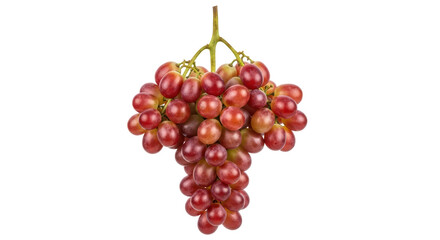 Isolated Red Grapes Bunch