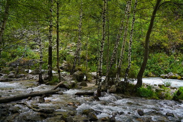 A mountain river with stone boulders in the Alma-Arasan gorge. Ile-Alatau National Park.