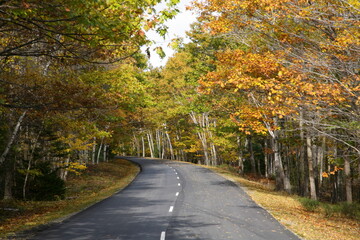 Straße in Neuengland