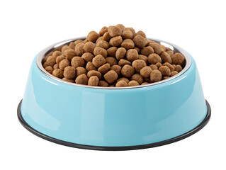 High quality dry dog food in blue bowl for optimal canine health and nutrition benefits today