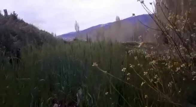 peaceful Morning in the Moroccan  Atlas Mountains with birdsong and natural landscape 