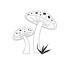 Whimsical Forest Mushrooms — Black and White Botanical Line Art
