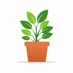 Obraz premium Houseplant in terracotta pot – Green leaves reaching out of a clay pot. 