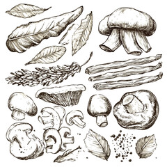 French Cuisine Sketch Set