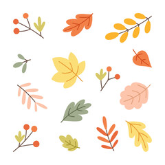Collection of hand drawn vector autumn leaves and berry elements in flat style.