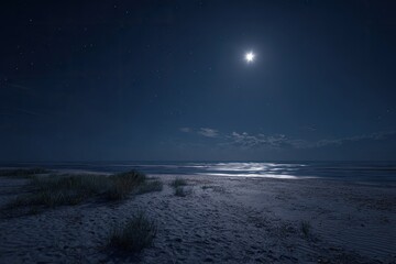 Moonlight on a sandy beach