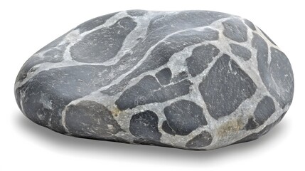 Obraz premium Unique Gray and White Patterned Stone Pebble