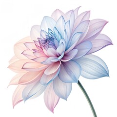 Elegant Dahlia Bloom with Pastel Petals