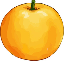 Watercolor vector illustration of an orange.